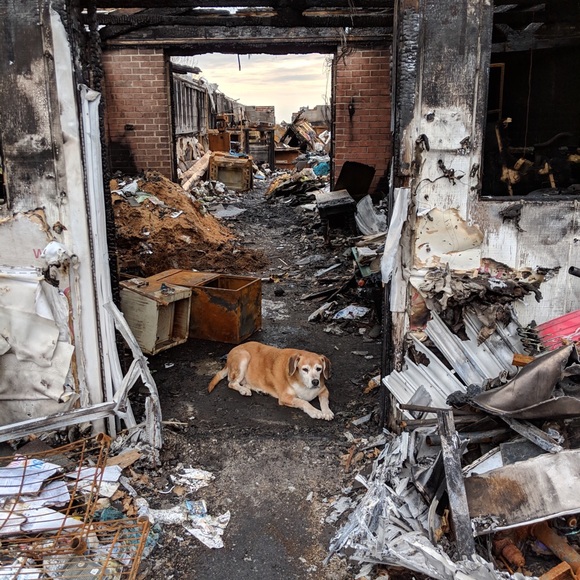 Introduction - Picture 2 of 4